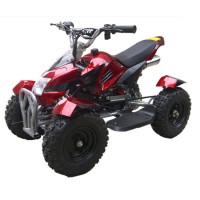 49cc 2-stroke engine kids ATV  pull start 6"tire mini ATV (TKA50-3)