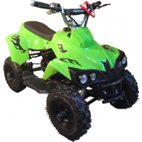 top quality China wholesale 6" wheel 2-stroke 49cc kids motor bike ATV (TKA50-4)