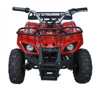 cool cheap 49cc 2-stroke kids Quad bike for sale (TKA50-2)