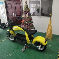 China Factory Export High Quality Adult EEC CE ROSH Electric Motorcycle For Sale