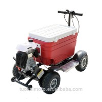 Hot sale Gas Cooler Scooter for BBQ/43cc EPA ice chest scooter (TKS-S43)