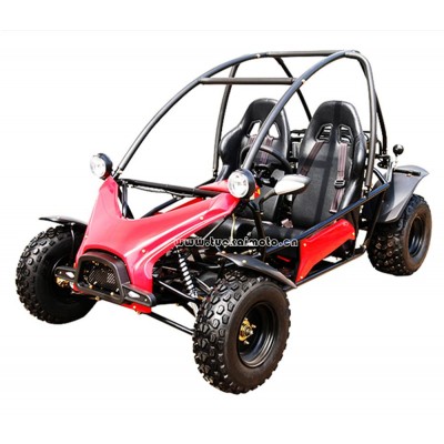 New CE go kart 150cc gas power buggy price  (TKG150-K3)