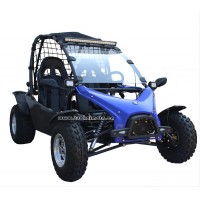 6.5kw power gas automatic transmission go kart ce approved 200cc buggy (TKG200-K3)